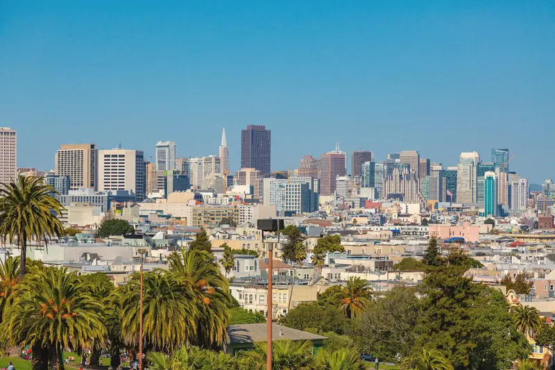 Photo of the downtown skyline above palm trees from Mission Dolores Park